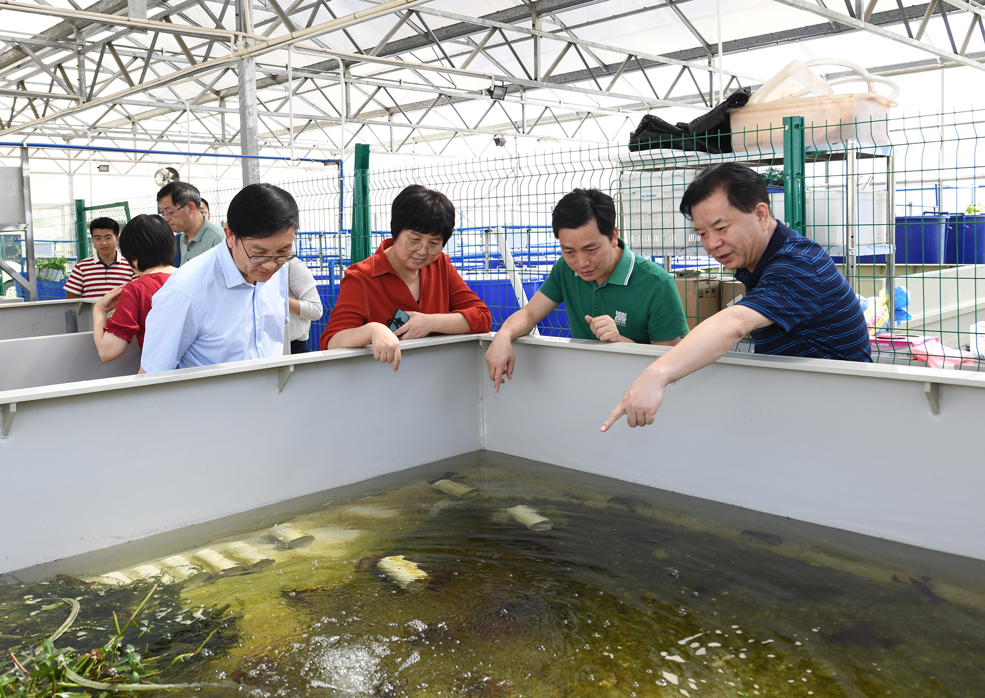 王玲一行调研爱游戏ayx中国官方网站教学科研基地,查看小龙虾养殖情况(记者 刘涛 摄) 王玲一行调研爱游戏ayx中国官方网站教学科研基地,查看小龙虾养殖情况(记者 刘涛 摄)